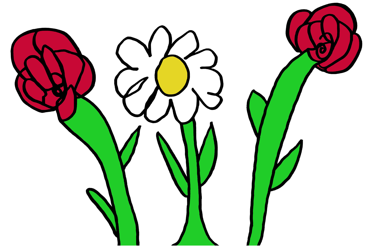 Daisy Flower with Roses